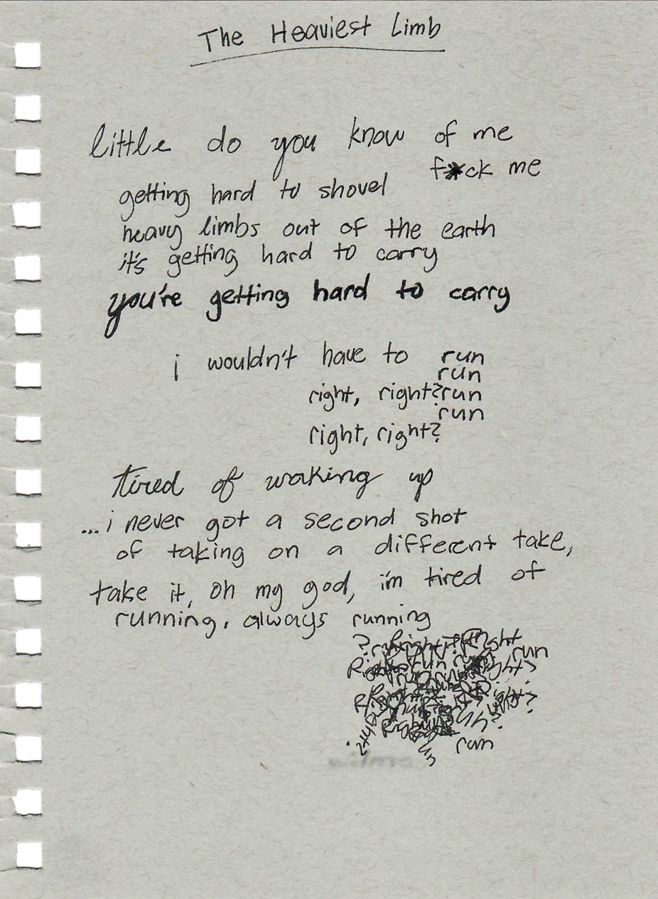 Heaviest Limb Lyric Note