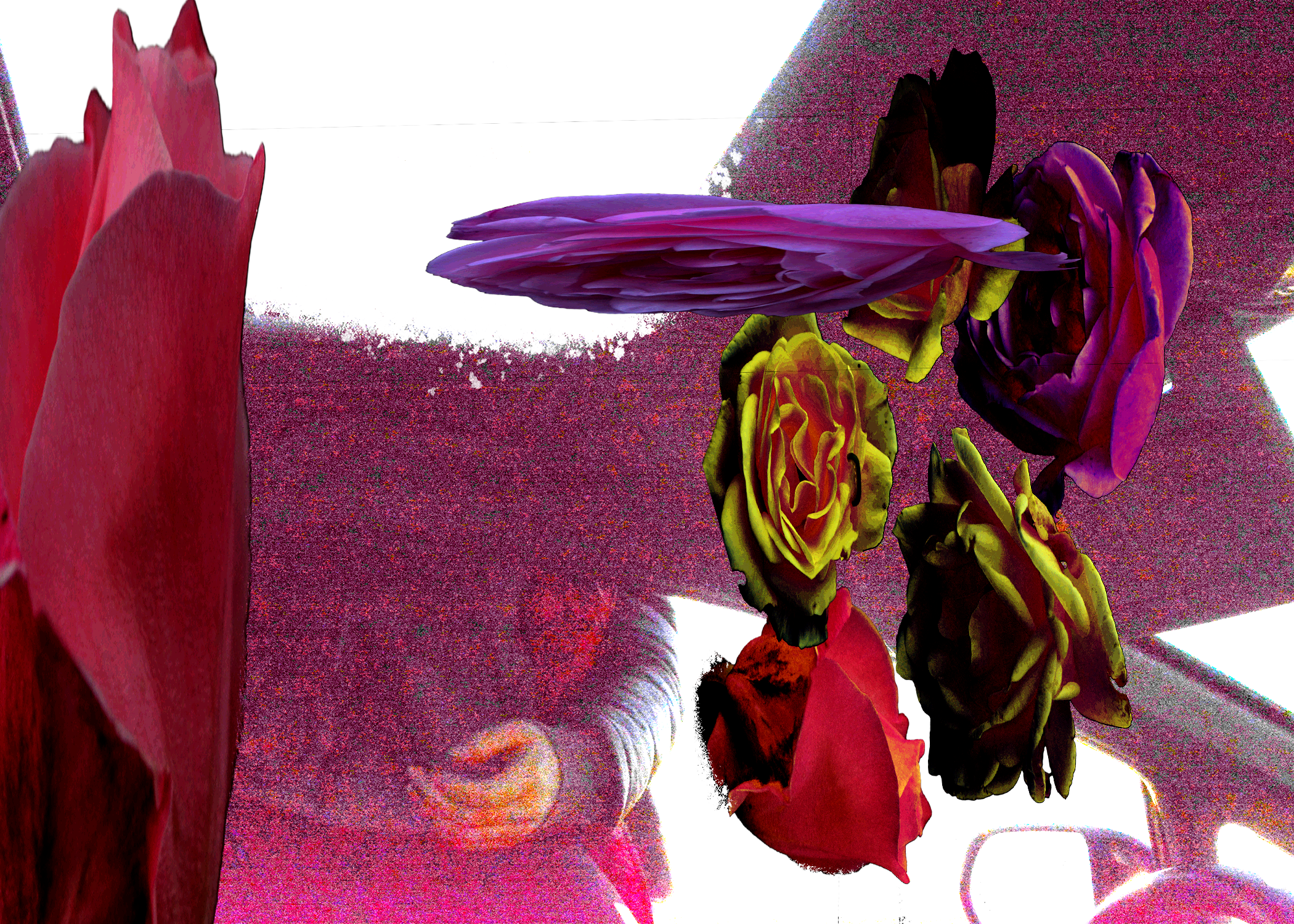 Flower Ride