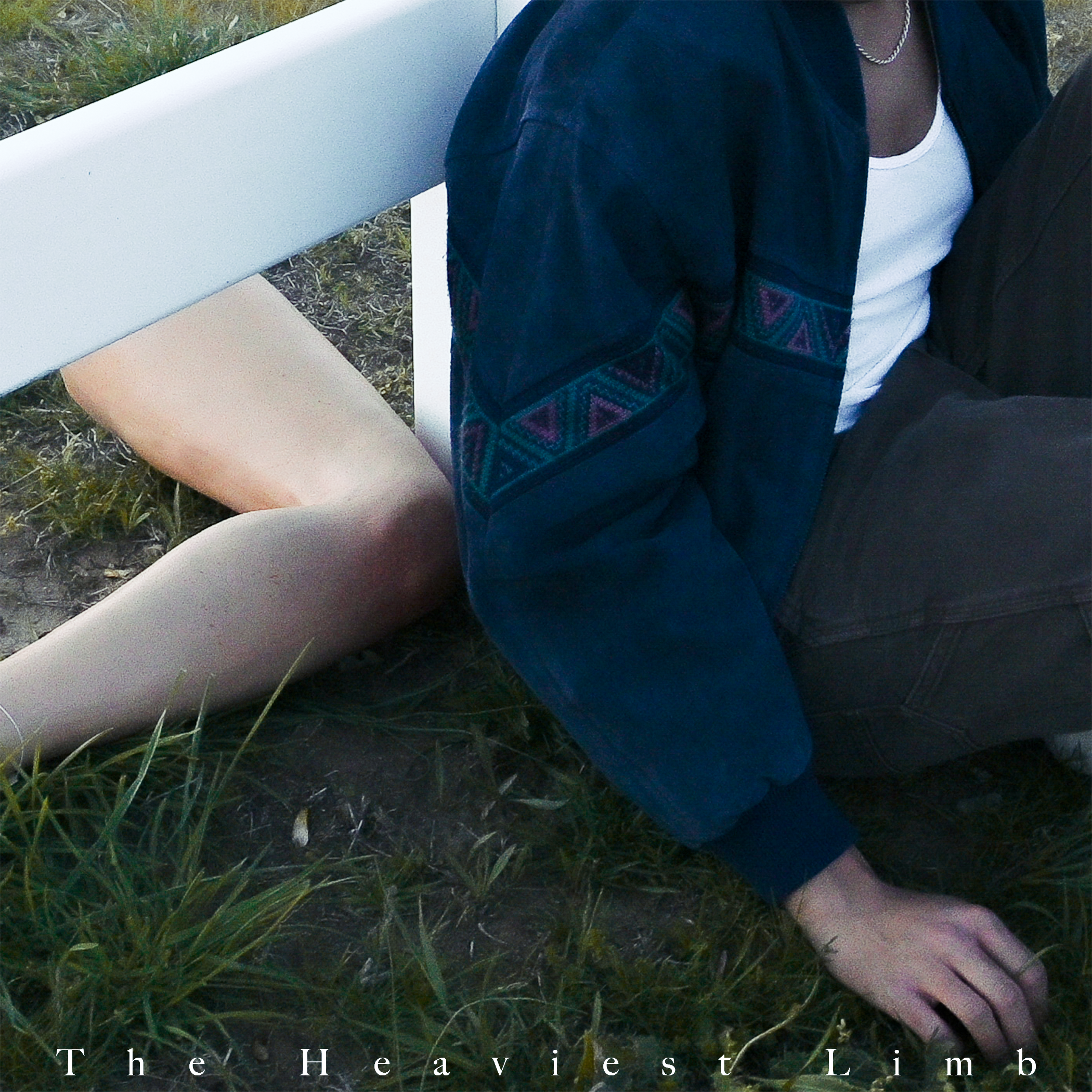 The Heaviest Limb cover art